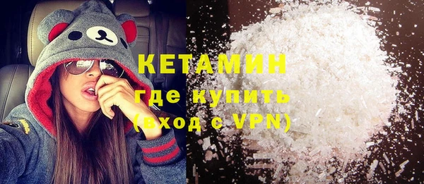 гидра Кодинск