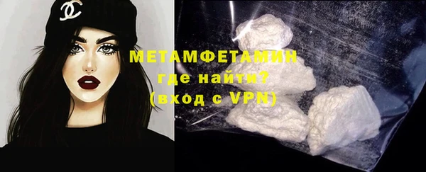 гидра Кодинск