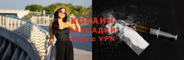 гидра Кодинск