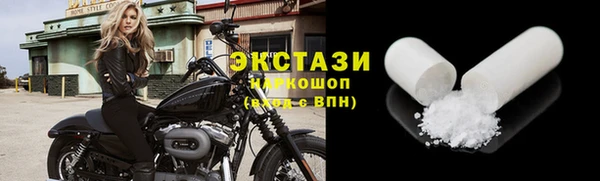 гидра Кодинск