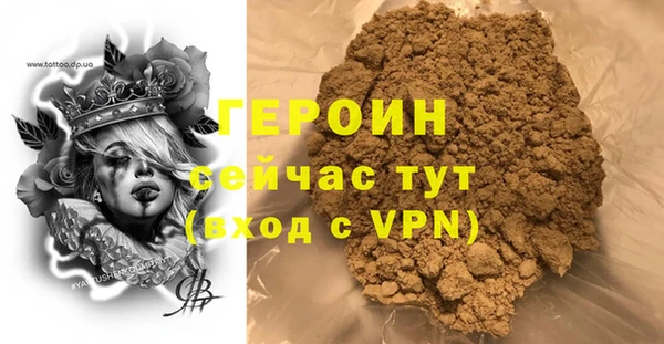 гидра Кодинск