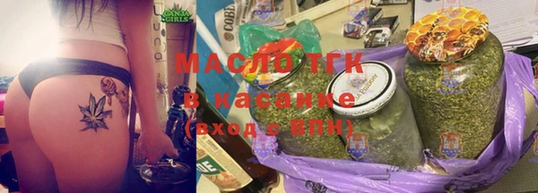 гидра Кодинск
