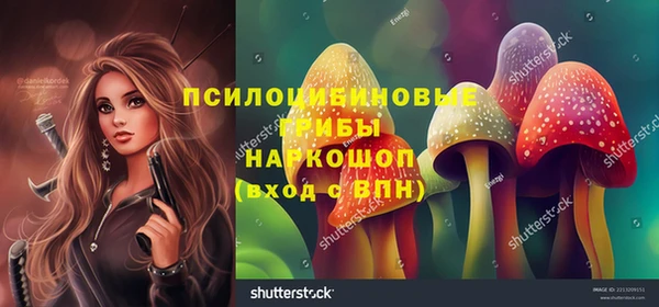 метадон Козловка
