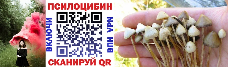 Галлюциногенные грибы мицелий  kraken онион  Медвежьегорск 